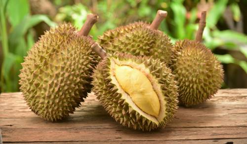 fruta apestosa durian