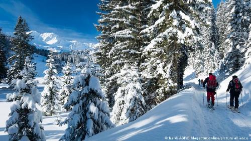 60235558_303 60235558_303