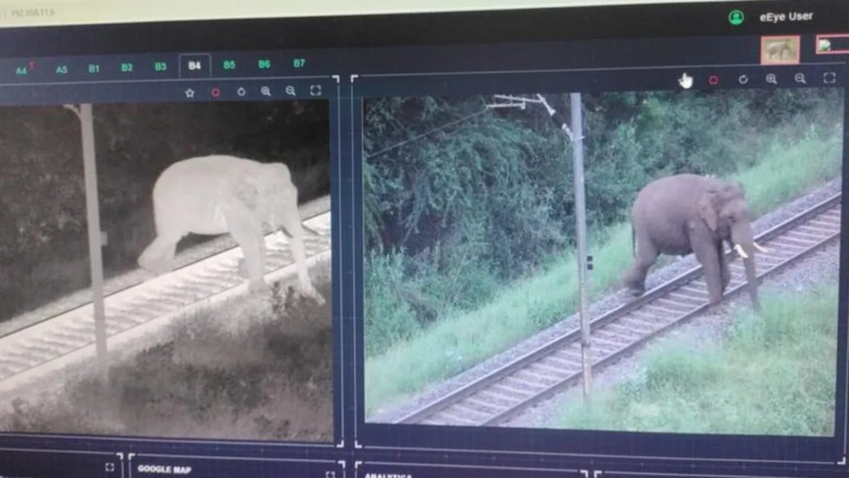 elefantes IA trenes