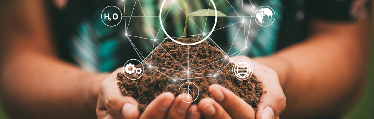 Articulación entre sector público y social Articulación entre sector público y social