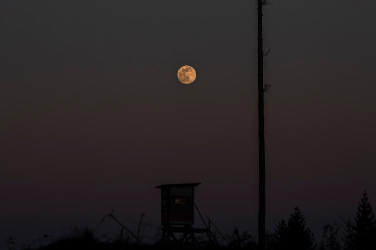 Luna llena Luna llena