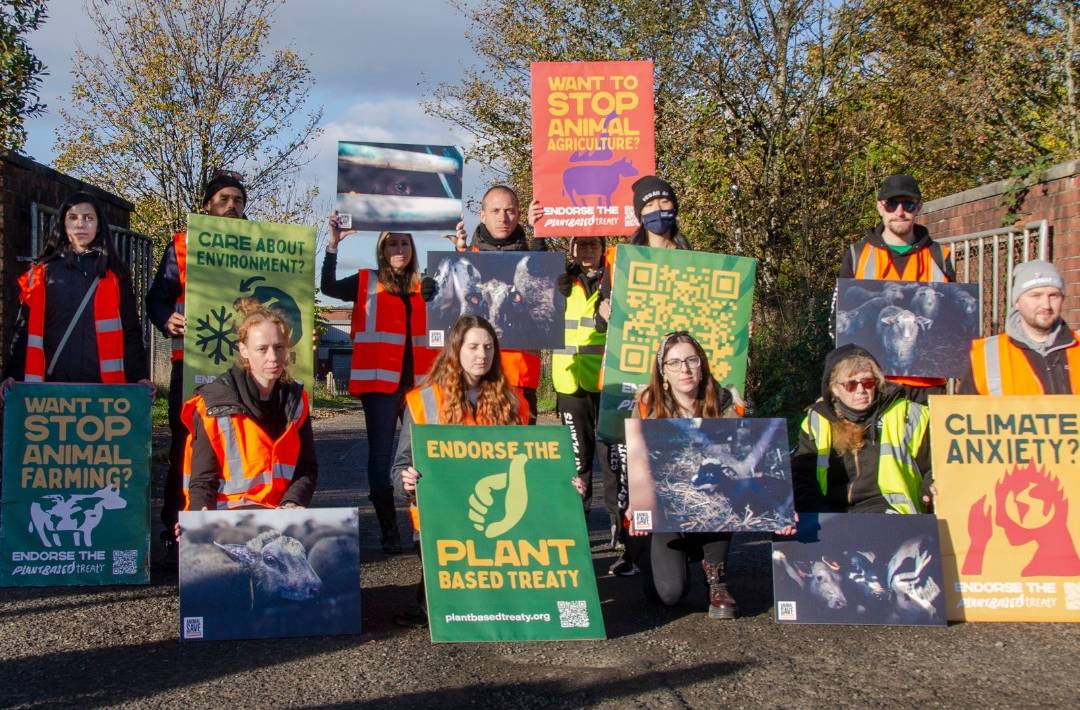 Clima Save Argentina Acuerdo basado en Plantas Clima Save Argentina Acuerdo basado en Plantas
