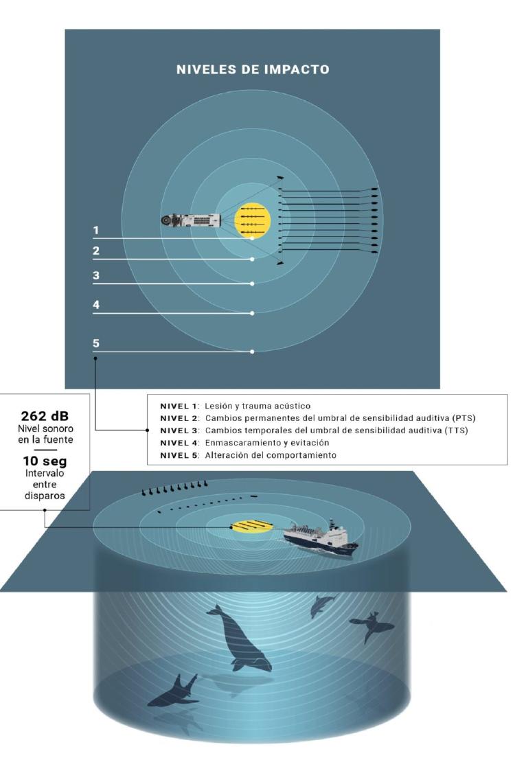 SISMICA 04 Foro 2022 Niveles de impacto segun distancia scaled e1677881056367 1041x1536 SISMICA 04 Foro 2022 Niveles de impacto segun distancia scaled e1677881056367 1041x1536