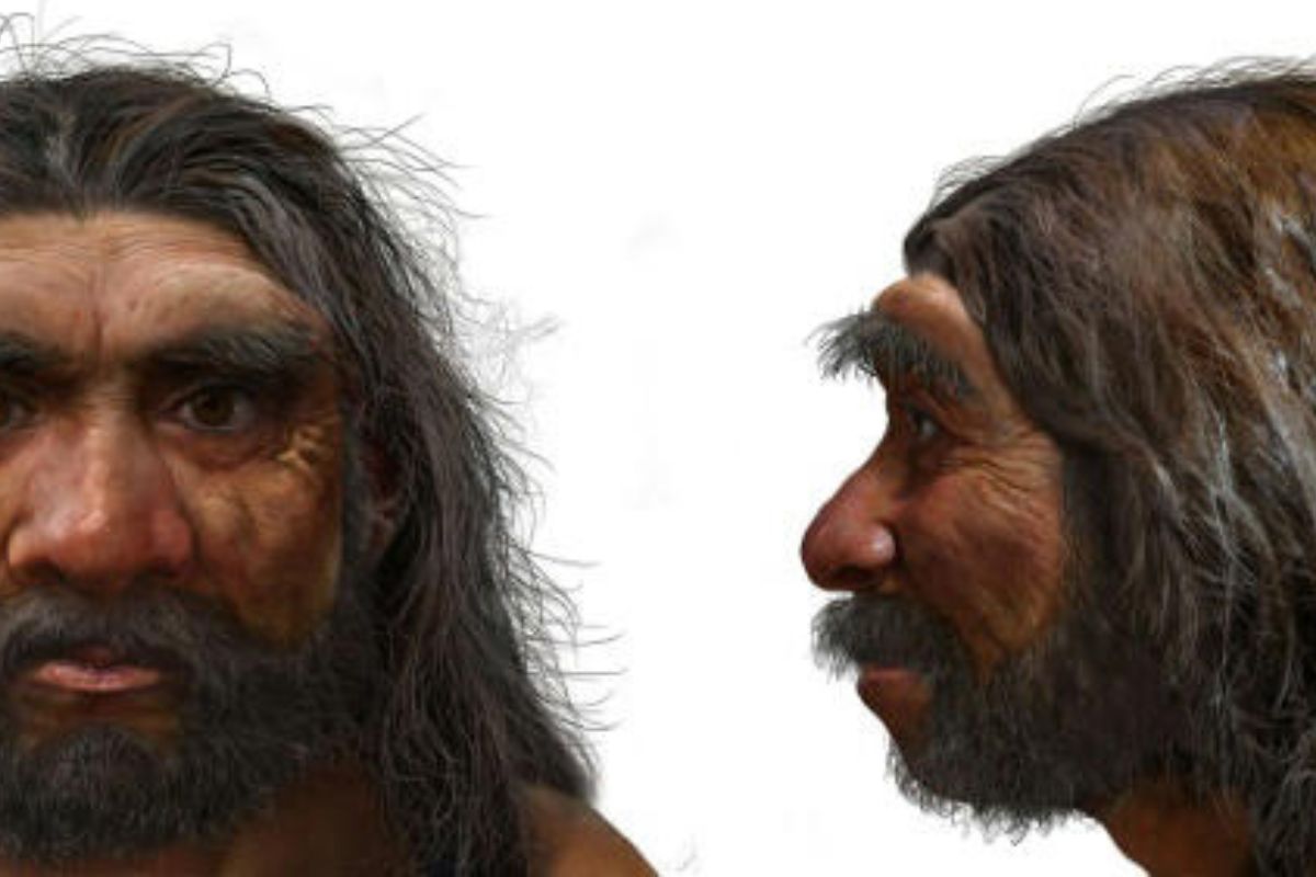 Evolucion humana Los investigadores creen que el cráneo reconstruido, de un millón de años de antigüedad, podría ayudar a resolver misterios que llevan mucho tiempo sin resolverse© CHUANG Zhao