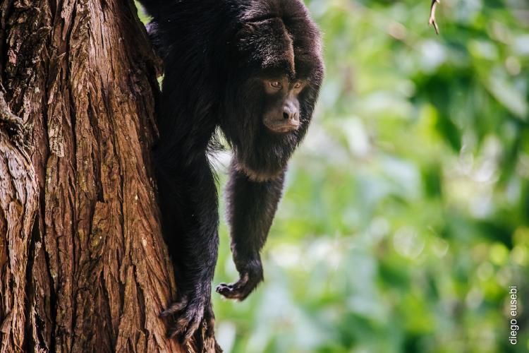 IMG 20230127 WA0082 IMG 20230127 WA0082