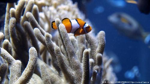 57833023_303 57833023_303