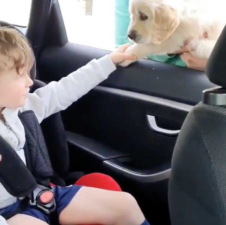 niño-cachorro2 niño-cachorro2