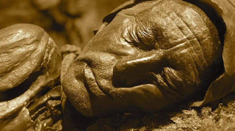 momia Hombre de Tollund_3 momia Hombre de Tollund_3