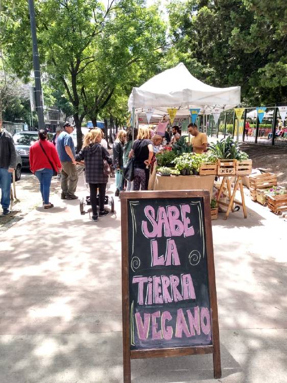 caballito vegano