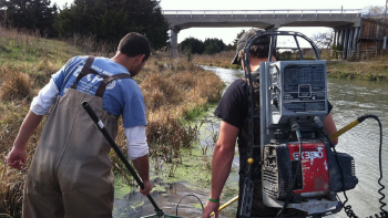 pesca electrica