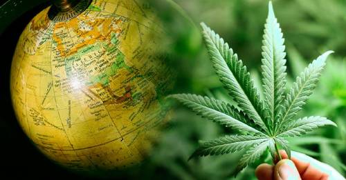 Estos son los países en los que es legal la marihuana