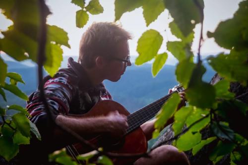 Plantas musica Plantas musica