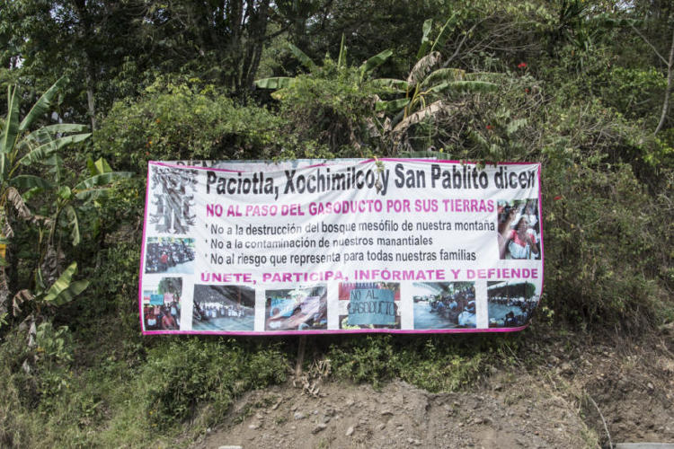 infraestructuras bosques areas_naturales_protegidas biodiversidad conservacion 8 768x512 1