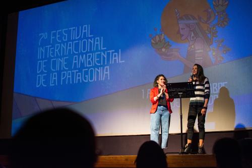 _EMA9341 b _EMA9341 b