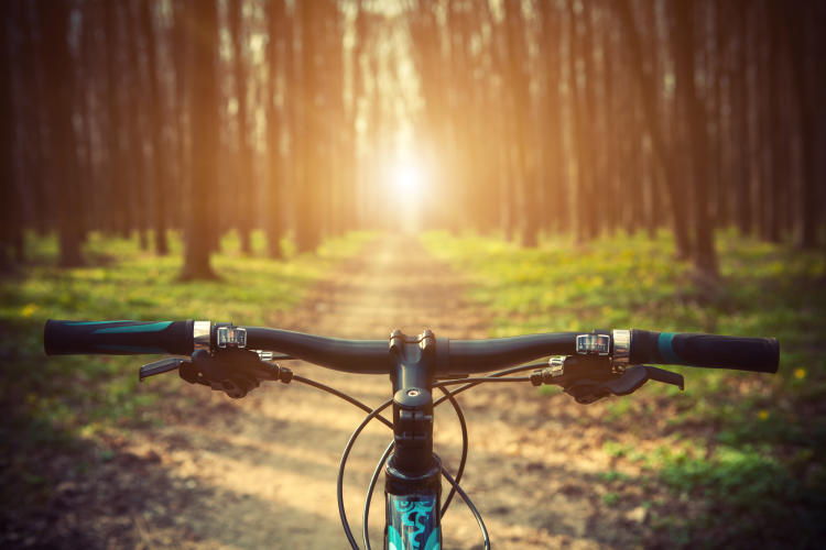 shutterstock_281412968 shutterstock_281412968