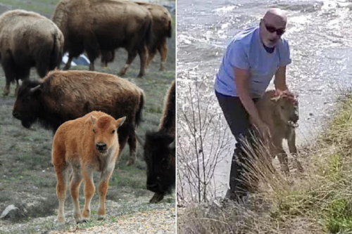 Collage portadas notas(6) Collage portadas notas(6)