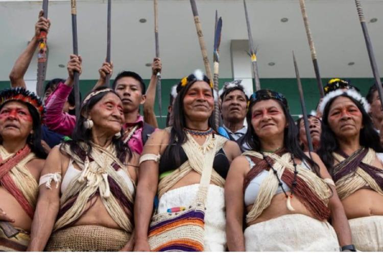 Indigenas El Pueblo Waorani de Pastaza consiguió una sentencia histórica que reconoce la vulneración de sus derechos a la consulta libre, previa e informada. (ecoosfera.com)
