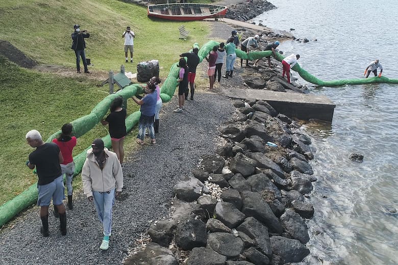 Barrera de pelo Barrera de pelo