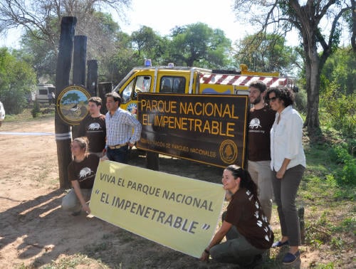 Conoce la ONG que lleva más de 10 años salvando m2 de bosque nativo en peligro