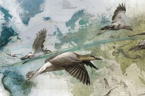 mapa La tecnología de última generación promete resolver enigmas sobre migración, salud y desastres naturales. (Imagen Ilustrativa Infobae)