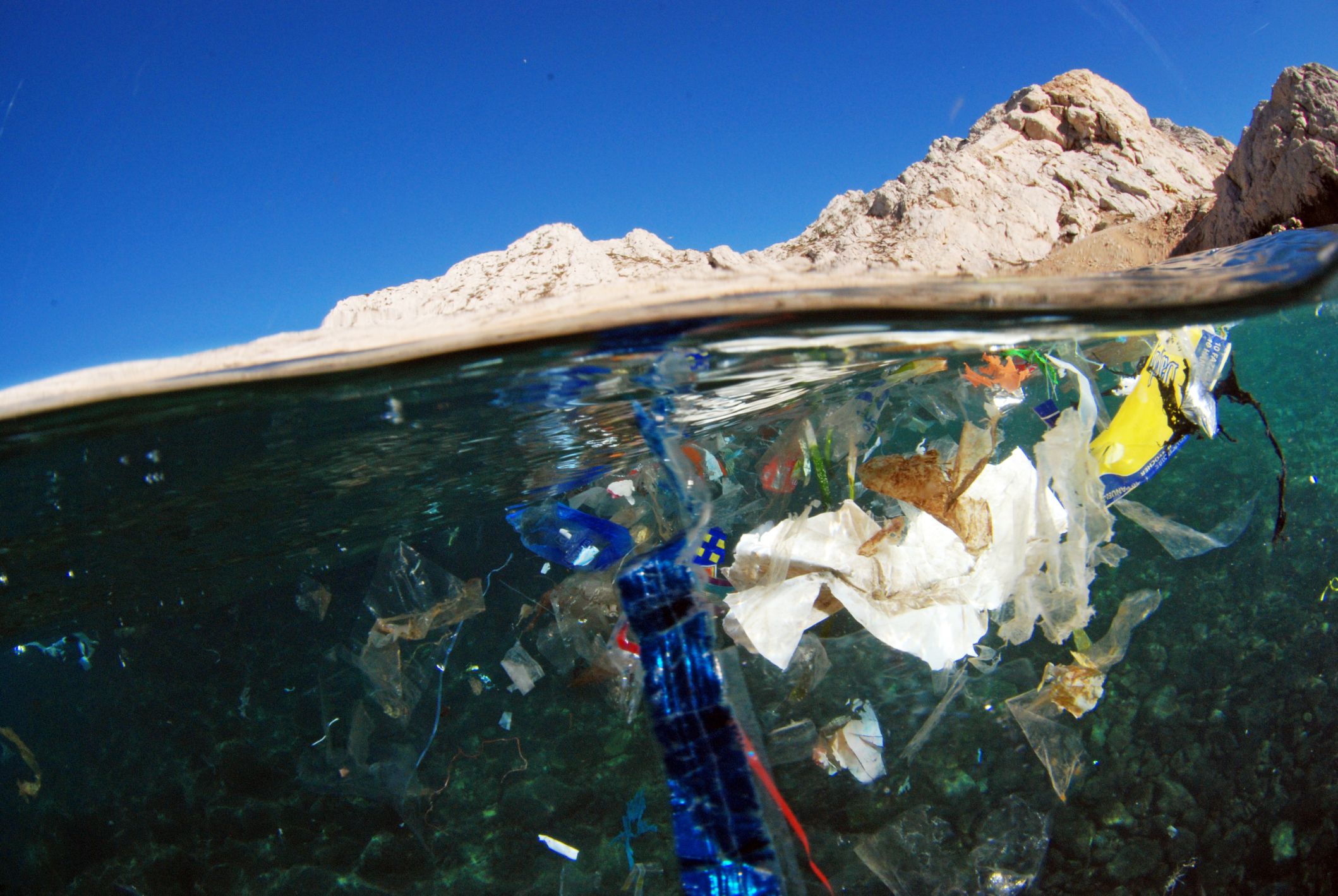 Basura Pacífico