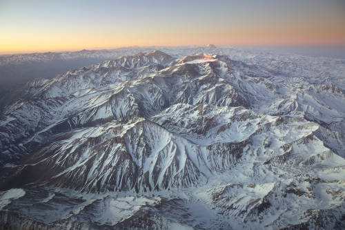Un cóndor junto a un zorro en el Aconcagua: un obsequio de la naturaleza