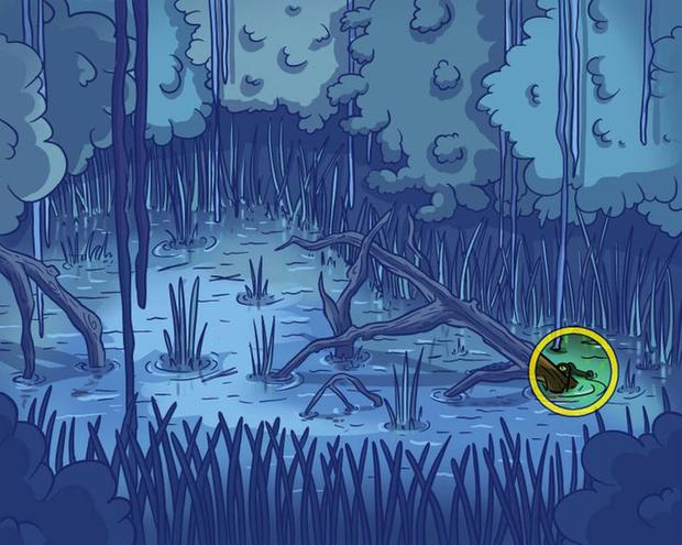 solucion-reto solucion-reto