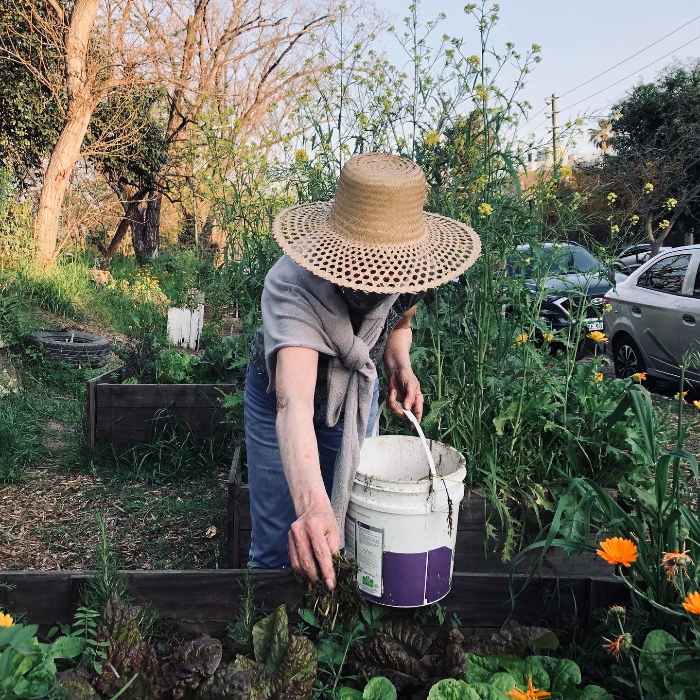 Laura sombrero Laura sombrero