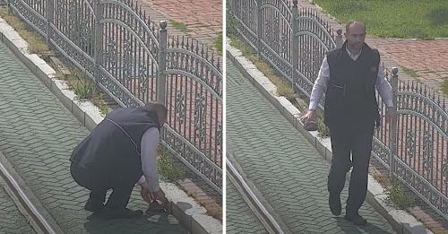 Salva tortuga de tren Salva tortuga de tren