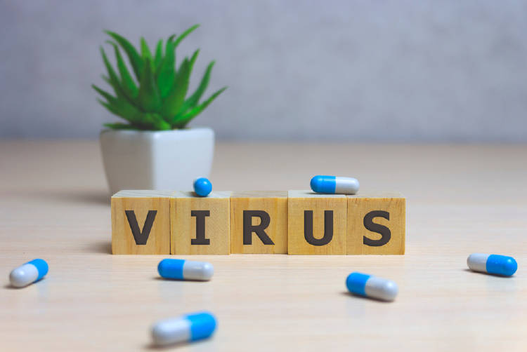 virus virus