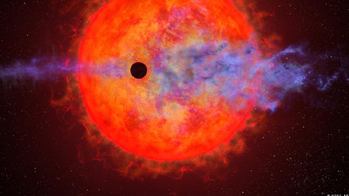 66498283_1004 66498283_1004