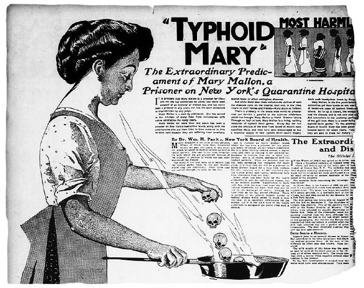 Typhoid marry Typhoid marry
