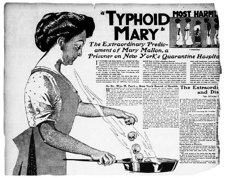 Typhoid marry