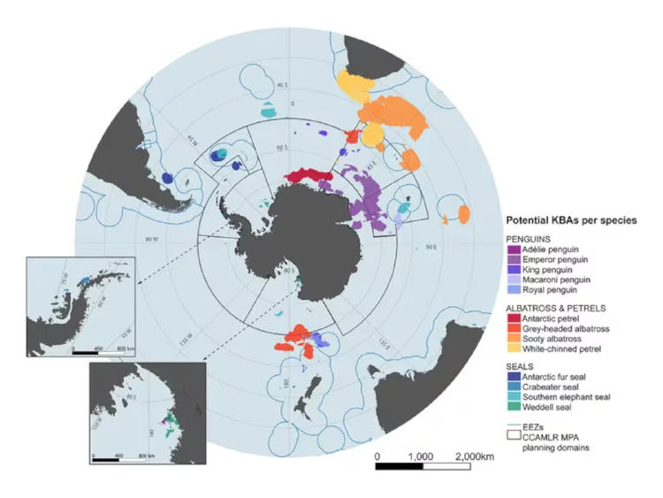 océano austral2 océano austral2
