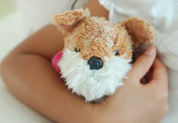 peluche perro peluche perro