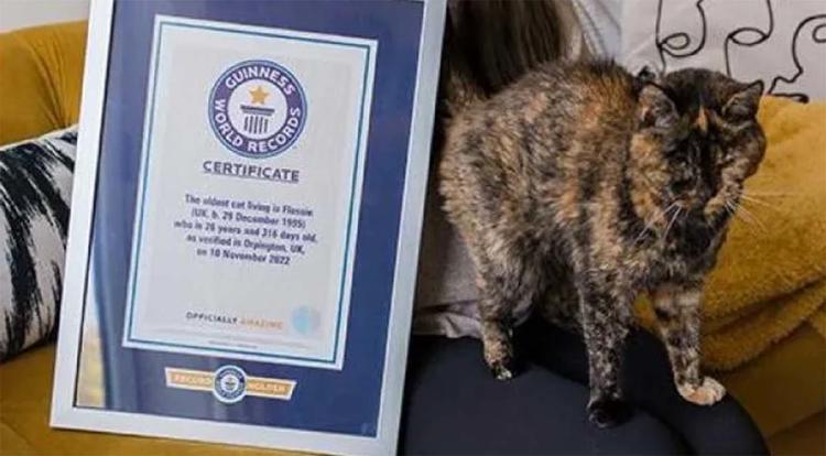 flossie gata4 flossie gata4