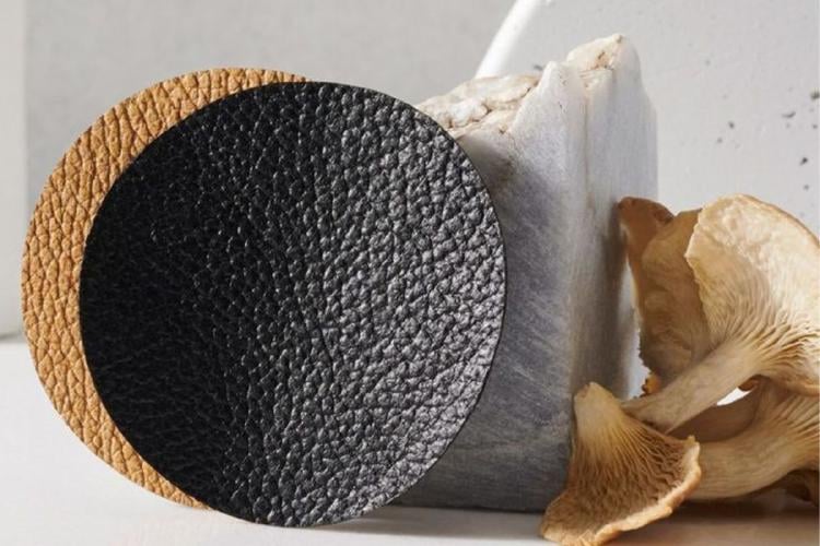 cuero de hongo Imagen: Pinterest