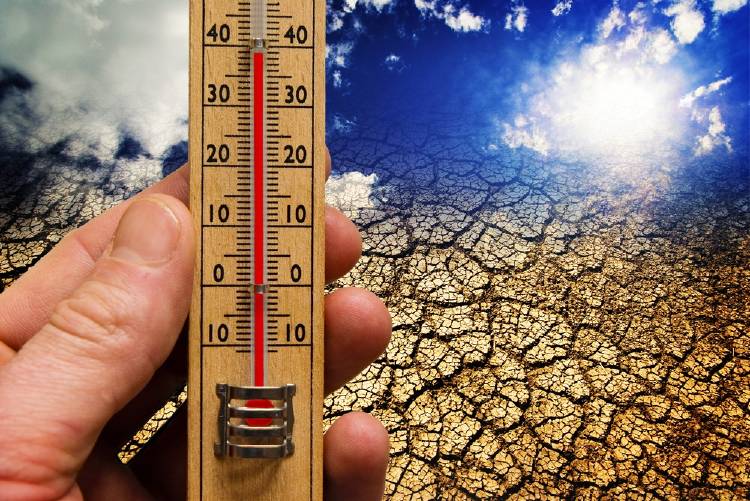 termómetro cambio climático calentamiento global