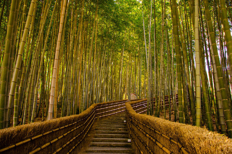 ARASHIYAMA