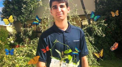 flores mariposas flores mariposas