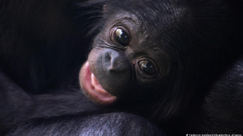 67770886_1004 67770886_1004