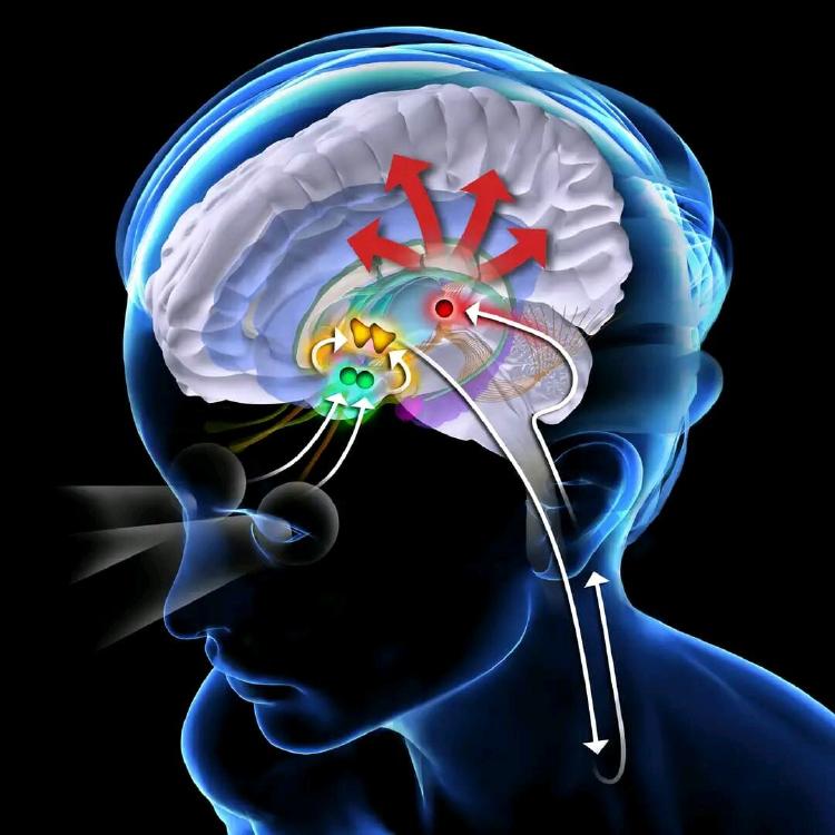 fea77f57cccef8e03672b3cfbcno fen shuj i ezoterika kapli sananga sananga fea77f57cccef8e03672b3cfbcno fen shuj i ezoterika kapli sananga sananga