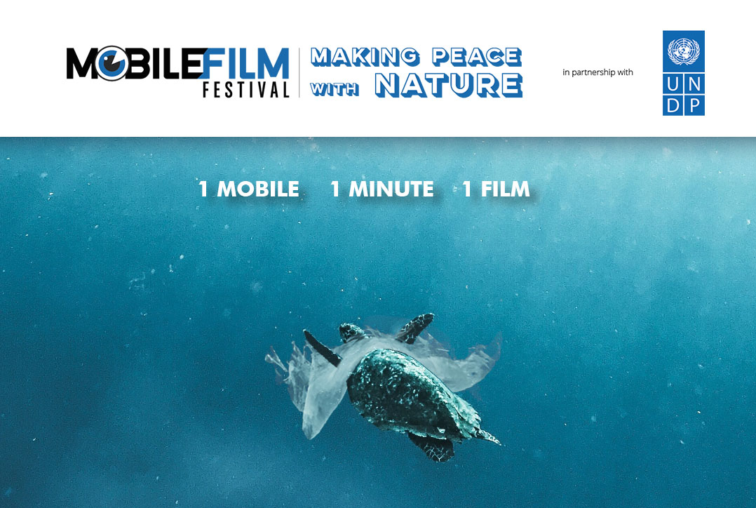 Sin título Sin título