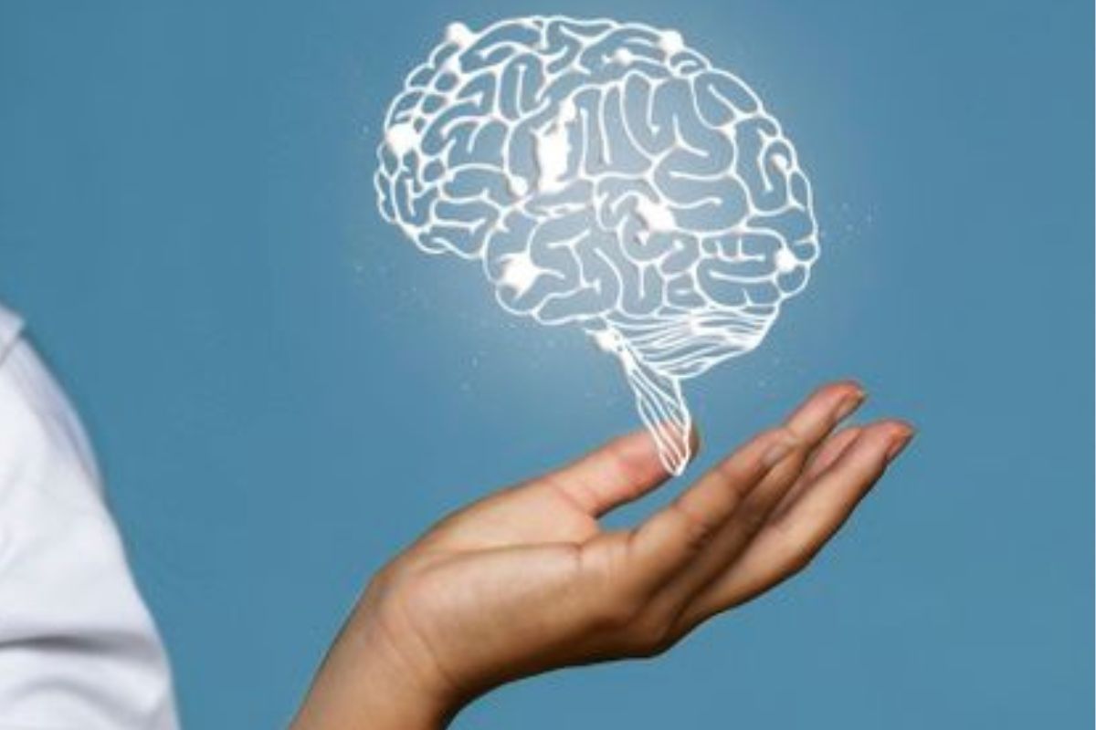 Las imágenes de resonancia magnética revelan cómo la práctica y el aprendizaje transforman la estructura cerebral. (Imagen: Pinterest)