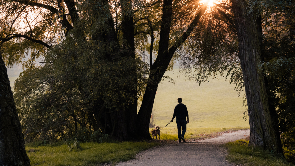 persona paseando a un perro en un parque