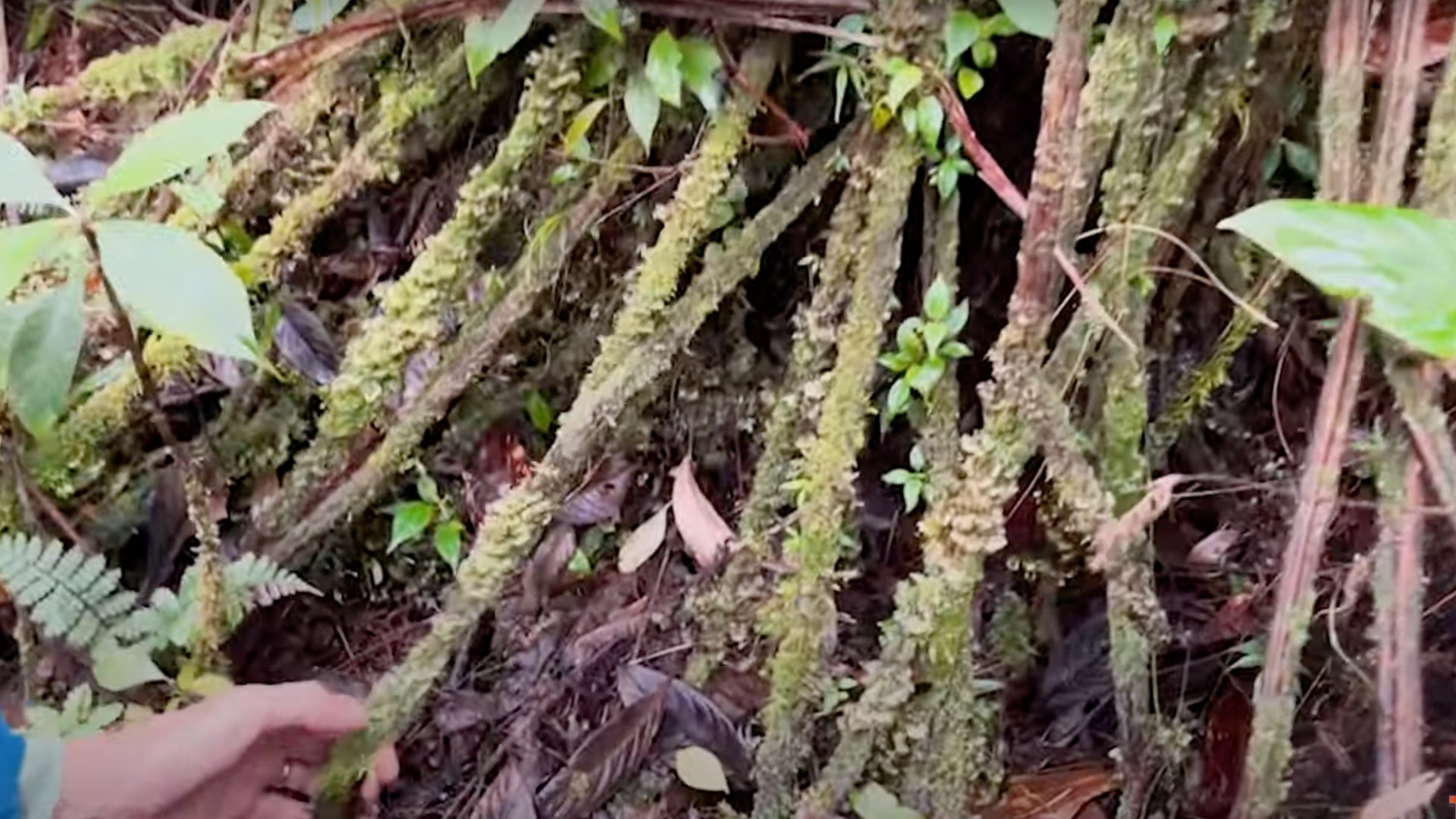 eitvkhJWLIgw0ggNCzoQcVCIzUCrnLfc6bn8iocf eitvkhJWLIgw0ggNCzoQcVCIzUCrnLfc6bn8iocf