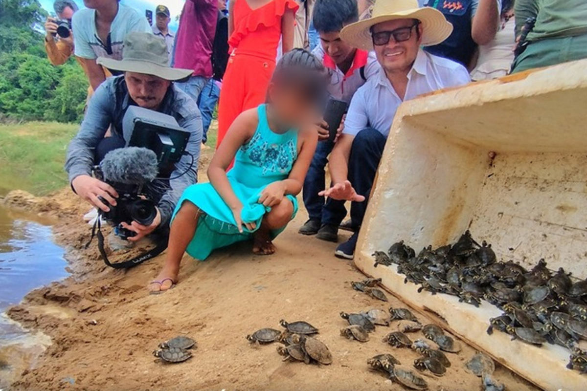 En Pando hay planes para repoblar los ríos amazónicos con crías de tortugas de río. Foto: cortesía Universidad Amazónica de Pando