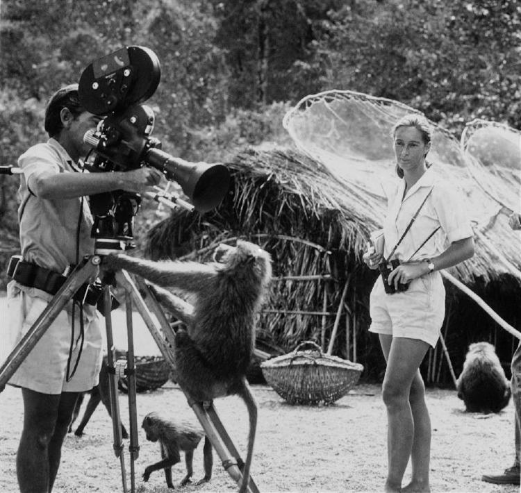 jane goodall camara en gombe_c6d4b3eb jane goodall camara en gombe_c6d4b3eb