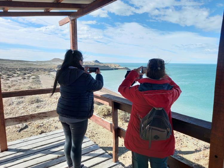 Mirador Pingüinera 2 Mirador Pingüinera 2