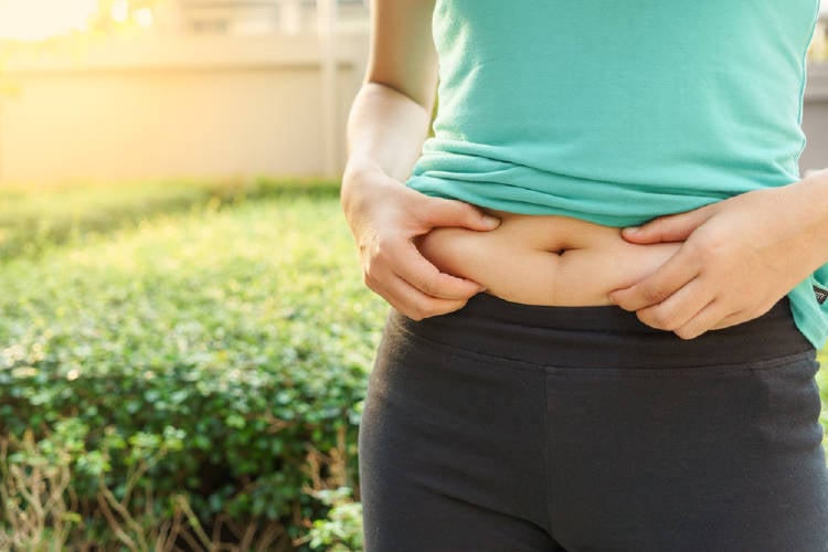 grasa abdominal grasa abdominal